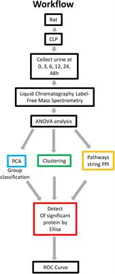 Analysis of Spatiotemporal Urine Protein Dynamics to Identify New Biomarkers for Sepsis-Induced Acute Kidney Injury